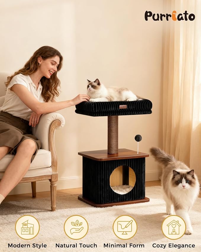 Small Cat Tree for Indoor Kittens, 30" Compact Modern Cat Tower | Natural Bamboo Cozy Condo, Soft Padded Perch, Sisal Scratching Post, Dangling Ball Toy, Stable Base, for Cats up to 15 lbs