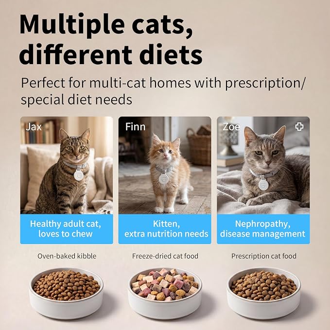 HoneyGuaridan RFID Automatic Cat Feeder with Collar Tag-Activated Personalized Meal, 4.6L 5G WiFi APP Control Cat Food Dispenser with 5000mah Battery,Multi-Pet Homes and Different Diets