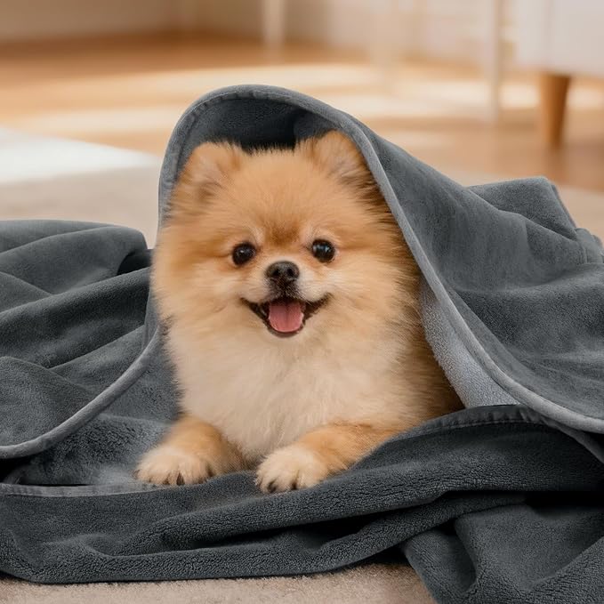 LOOBANI Waterproof Dog Blanket for Small Dogs, Pet Blanket 30" x 40", Grey | Double Side Liquid-Proof, Puppy Blanket for Dog Cat Bed, Crate, Playpen, Reversible Soft Flannel Couch Cover Throw