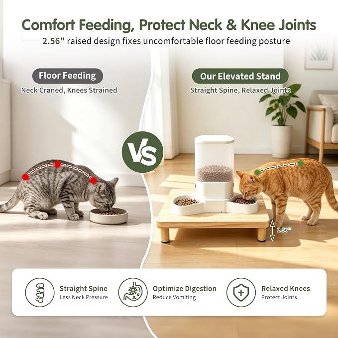 Extra Large Cat Food Stand, Wood Cat Feeder Stand 15.8 x 12.9 in | Cat Feeding Station, 2.56 in Raised Platform, Dual-Bowl Feeder & Water Dispenser Fit, Solid Wood, Tool-Free Assembly
