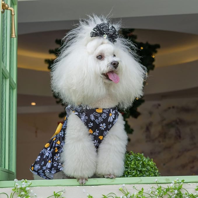 CuteBone Dog Mesh Dress Puppy Sundress Pet Outfit Summer Fashion for Small Dogs Girl Cat Clothes