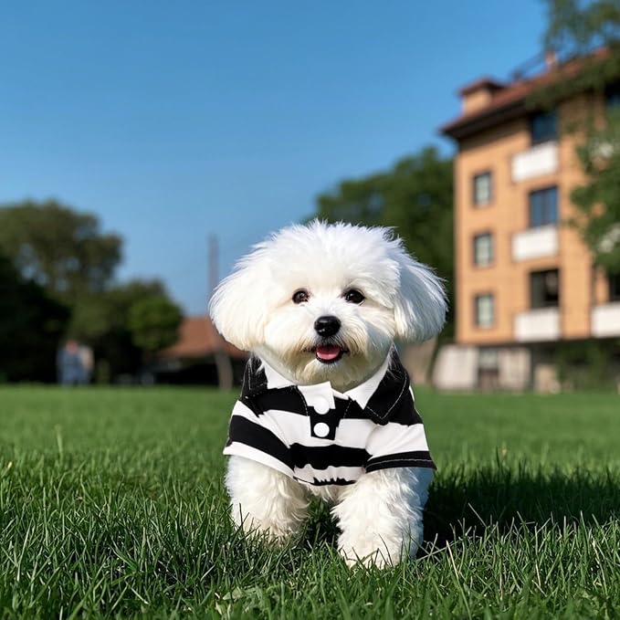 Pistha Dog Shirt Polo Shirt Striped Puppy Clothes for Boy Girl Pets | Dog Shirt Dog Clothes Pet Clothes with Summer Button Up for Small Medium Dogs Cats