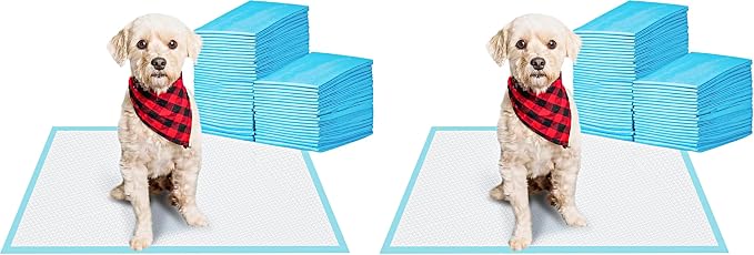 BESTLE Pet Training and Puppy Pads Pee Pads for Dogs 22"x22" Super Absorbent & Leak-Proof (Pack of 2)