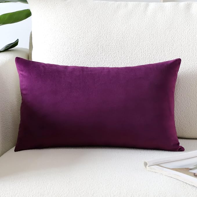 Artscope Luxury Velvet Pillow Covers Super Soft Decorative Square Throw Pillow Covers Case Cushion Covers for Sofa Couch Bedroom Car Decor 12x20 Inch Eggplant Purple