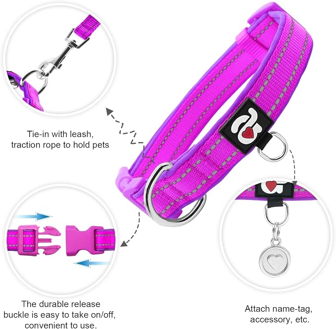 azuza Reflective Dog Collar, Neoprene Padded Large Dog Collar, Purple, L