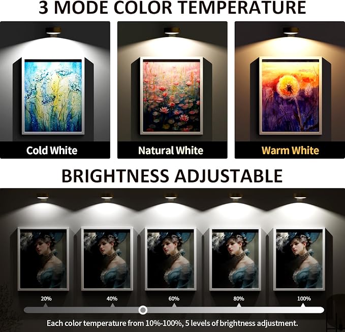 Tututry 3-Pack Picture Lights for Wall, Rechargeable Battery Magnetic Poster Lights with Remote Dimmable 3-Color Temps & Timer, LED Art Display Lighting for Paintings, Frames & Wall Art Decor (Gold)