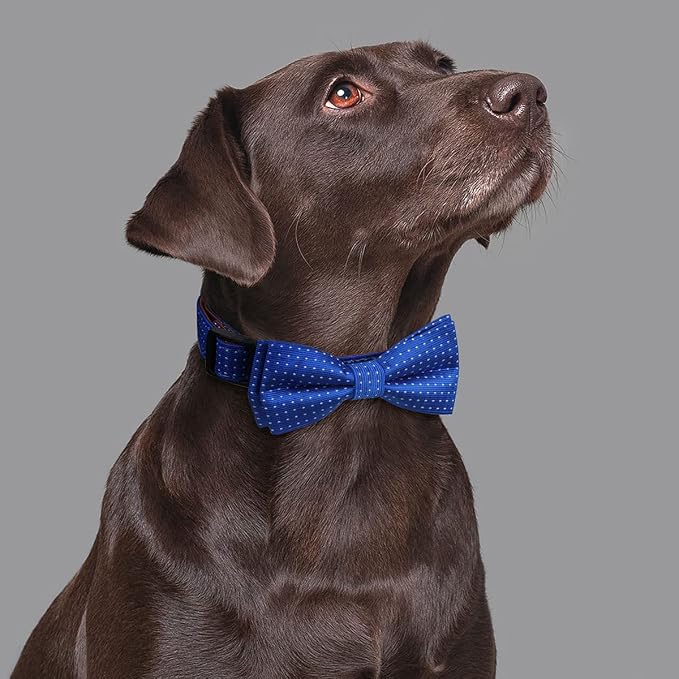 Dog Collar with Bow Tie for Girl or Boy Gift Soft Durable Bowtie Blue dot Small