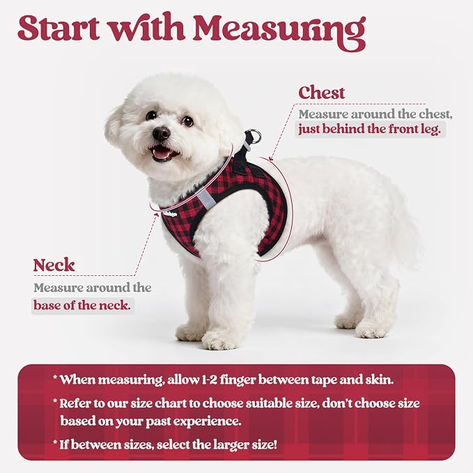 rabbitgoo Dog Harness Small Sized and Leash Set, Step-in Puppy Pet Vest | Light, Soft, Breathable Air Mesh, Easy on and Remove with Hook & Loop, Secure Reflective for Walking, Red Check S