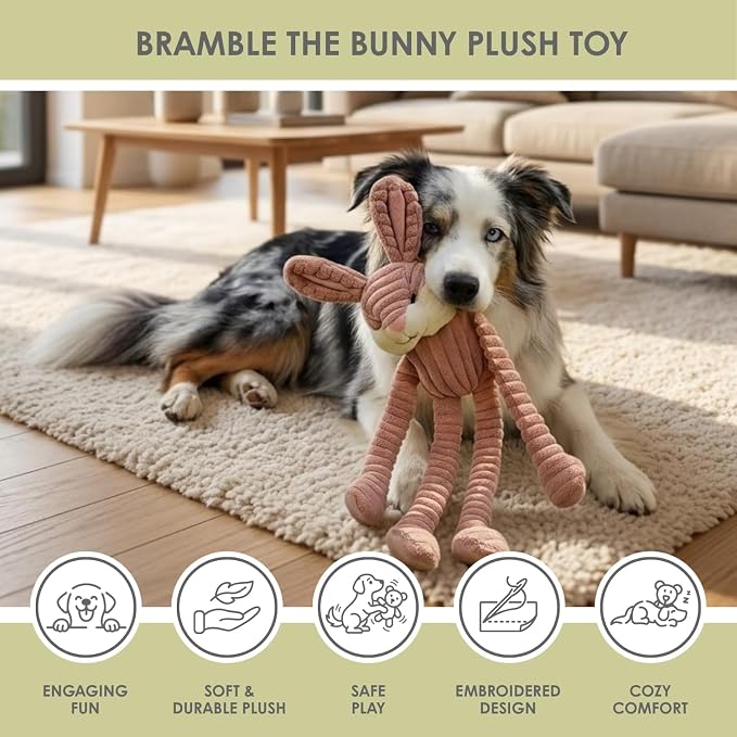 NANDOG My BFF Bramble The Bunny Dog Toy XL, Large Soft Squeaky Toys