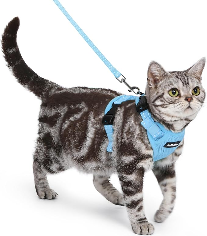 rabbitgoo Cat Harness and Leash, Easy-on with Neck Buckle, Sky Blue