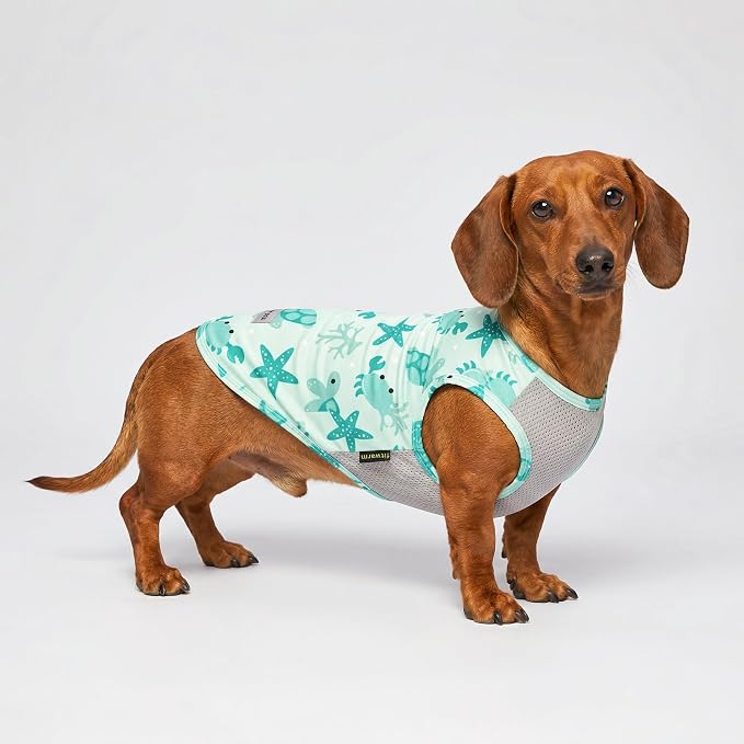 Fitwarm 2 Pack Marine UPF 50+ UV Sun Protection Dog Shirt, Lightweight Cooling Vest, Quick Dry Summer Clothes for Small Dogs Boy Girl, Pet Outfit, Sky Blue, Mint Green, XS