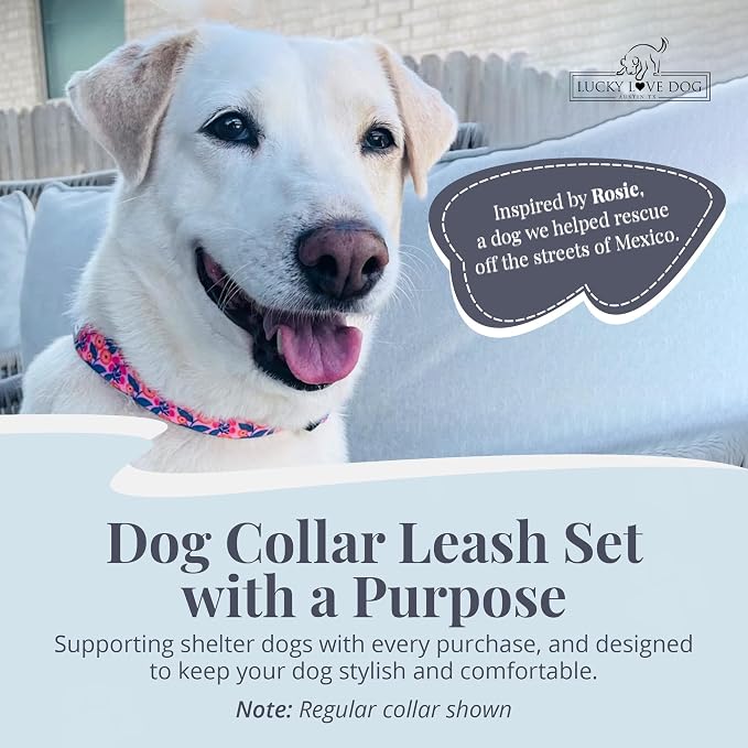 Lucky Love Dog Martingale Collar & Leash Set No Slip Cute – Rosie, Large