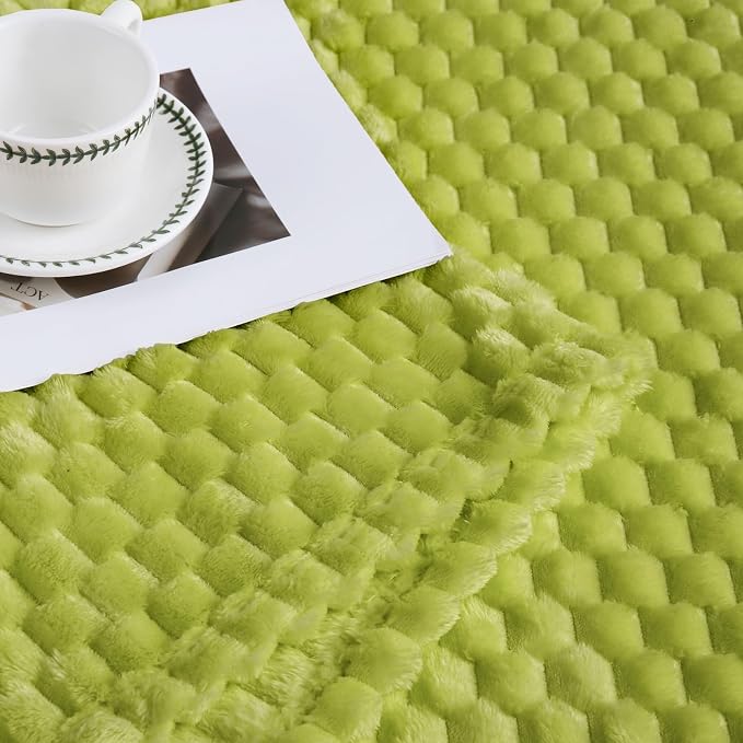 Bnuitland Fruit Green Flannel Throw Blanket (50X70 inches), 300 GSM Fleece Cozy Warm Soft Home Decor Lightweight Bed Sofa Blanket for Adults, Suitable for All Seasons.