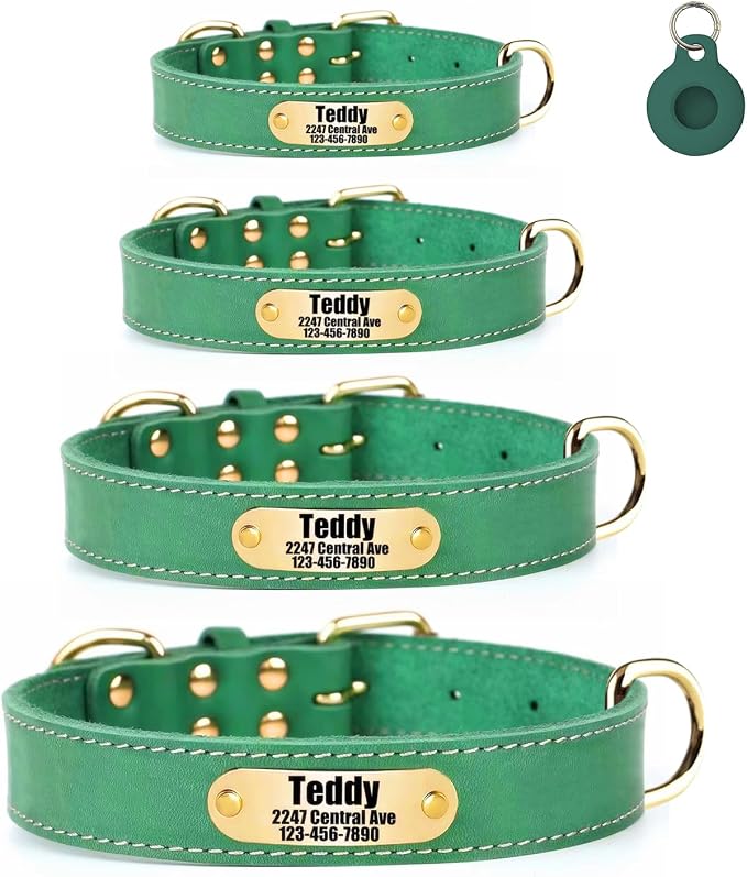 Personalized Genuine Leather Dog Collar with Name Phone Number-Bluegreen-XS