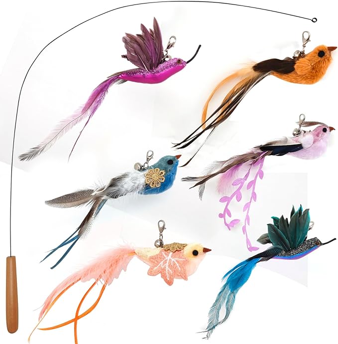 miwoowim 35" Steel Wire Cat Wand Toy & 6PCS Realistic Feather Bird Refills | Sturdy wooden handle for easy grip.Handcrafted birds with bells.Promotes active play, healthy exercise & bonding