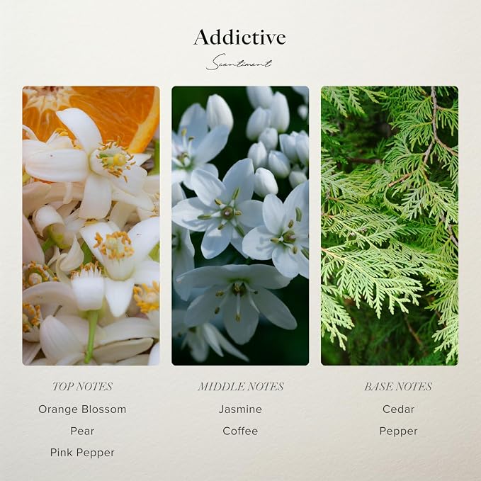 Scentiment - Addictive Eau De Parfum - Designer Inspired Fragrance for Women – 1.69 fl oz (50 mL)