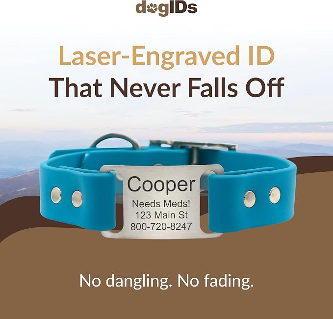 dogIDs Personalized Dog Collar – ScruffTag Custom Waterproof Biothane Dog Collar with Laser-Engraved Name, Durable & Odor-Resistant – USA Made | Tropical, 1 in x 18 in (Fits Neck Sizes 16-20 in)