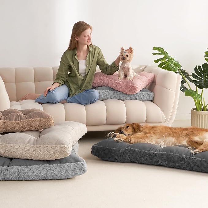 EHEYCIGA Washable Dog Beds for Small Dogs, 23x18 Inch Pet Bed, Beige | Plush and Comfy Kennel Pad, Soft Dog Crate Mat, Deluxe Sleeping Mattress for Puppy Up to 25 lbs