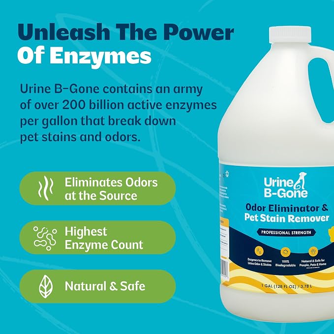 Urine B-Gone Enzyme Cleaner for Human, Cat & Dog Urine, Original, 1 Gallon | Enzyme cleaner for human, cat and dog urine on laundry, carpets and more; original scent, 1-gallon size.