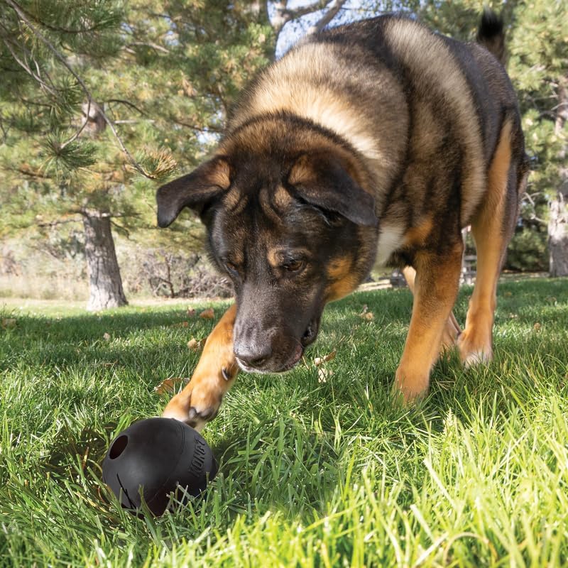 KONG Extreme Ball with Hole, Fetch Toy, Black, for Large/X-Large Dogs