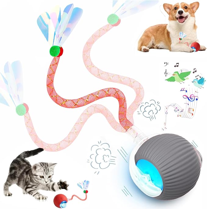 Speed 2.0 Tail Interactive Cat Toys for Indoor Cats, Moving Cat Toy | Chirping & Motion Activate Cat Toy, Smart Kitten Toys Rolling Ball Moving Ball, Electric Dog Cat Ball for Enrichment Exercise