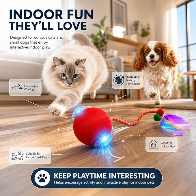 Interactive Cat Toy Ball, Automatic Cat Toy with Bird Chirping Sound, 3 Play Modes & 2 Tails,Rechargeable Smart Moving Pet Toy,Speedy Tail 2.0 Cat Toy,Cat Toys Interactive for Indoor Cats & Small Dogs