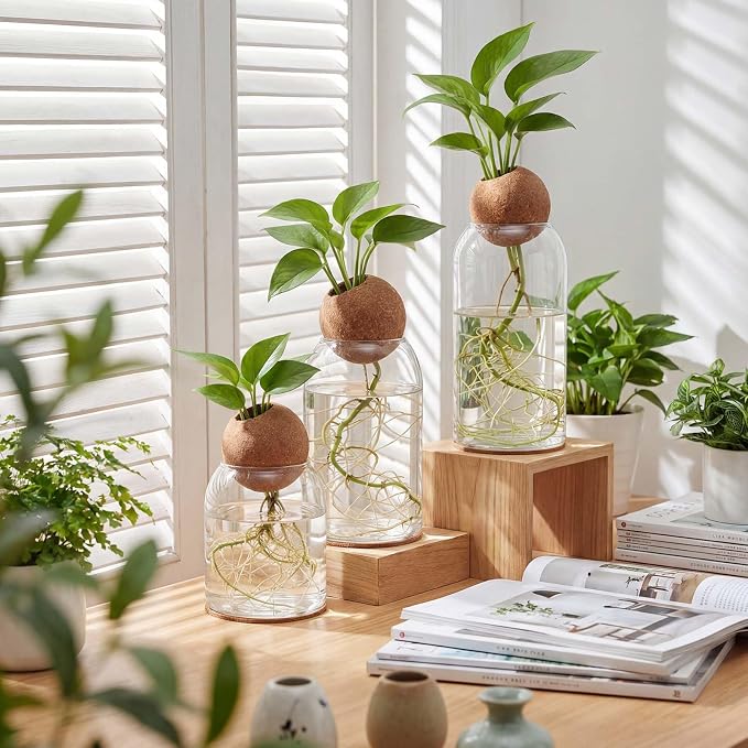 3 Pcs Glass Plant Propagation Stations for Plants with Spherical Lids and Cork Coasters Hydroponic Spherical Cork Planter Desktop Vases for Plants Cuttings Home Office Tabletop Decor