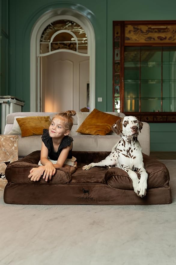 NOAH & PAW XL Dog Bed, 45x35x11 Inch, Orthopedic Large Dog Beds, Eggshell Memory Foam Infused with Cooling Gel, Inner Cover, Water Resistant, Machine Washable (Velvet Sofa Collection)