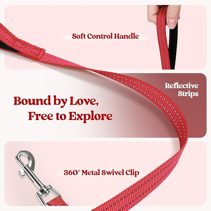 rabbitgoo Dog Harness Medium Sized and Leash Set, Step-in Puppy Pet Vest | Light, Soft, Breathable Air Mesh, Easy on and Remove with Hook & Loop, Secure Reflective for Walking, Red XXL