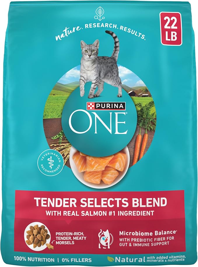 Purina ONE Natural Dry Cat Food, Tender Selects Blend with Real Salmon - 22 lb. Bag