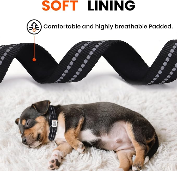 Personalized Dog Collar with QR Code Dog Tag, Black M | Anti-lost, 1000D nylon, reflective, padded, XS-L(8"-24"), QR buckle shares lost pet profile, location alerts when scanned