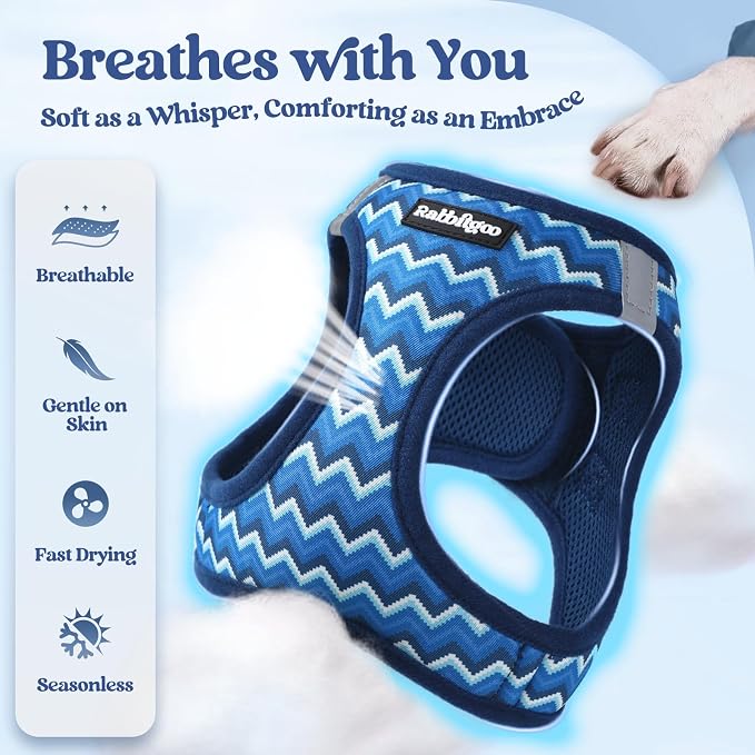 rabbitgoo Dog Harness Small Sized and Leash Set, Step-in Puppy Pet Vest | Light, Soft, Breathable Air Mesh, Easy on and Remove with Hook & Loop, Secure Reflective for Walking, Blue Zigzag XXS