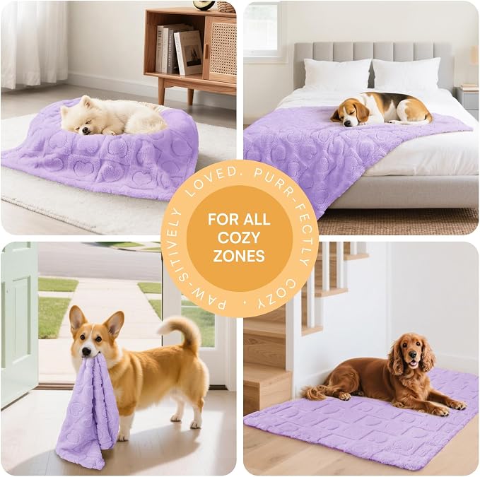 Luciphia Soft Small Dog Blanket 300GSM Fleece Throw Puppy Cat,30"x20" | Pink Blanket Washable for Medium/Large Dogs, Cute Cover on Bed Couch Crate Car, Puppy Essentials, Dog Gift