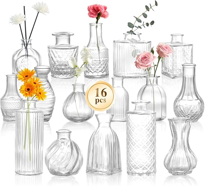 DOMESTAR 16 PCS Glass Bud Vases Set, Small Clear Cylinder Vases | Propagation Station, Plant Terrarium, Rustic Wedding, Table Centerpieces, Modern Living Decor