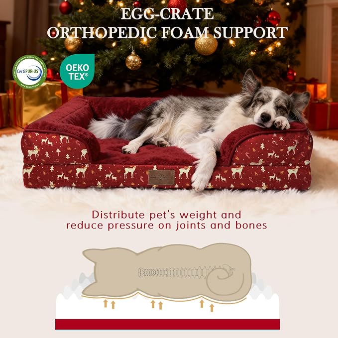 Comfort Expression Orthopedic Dog Bed for Extra Large Dogs with Bolster | Waterproof Dog Couch Bed with Washable Cover & Non-Slip Bottom, Supportive Egg Crate Foam XL Pet Bed, 42x30 Inch