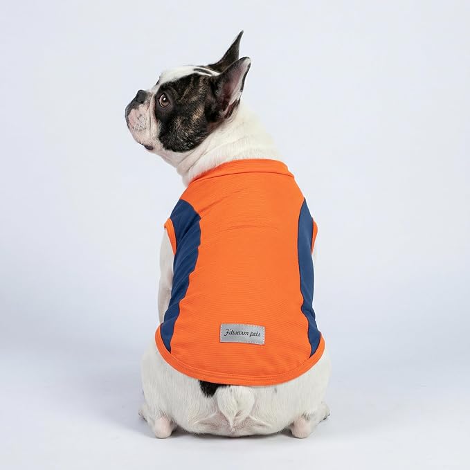 Fitwarm 2 Pack UPF 50+ UV Sun Protection Dog Shirt, Quick Dry Summer Dog Clothes for Small Dogs Boy Girl, Reflective Label, Lightweight Breathable Cooling Vest, Pet Cat Outfit, Orange, Blue, XL
