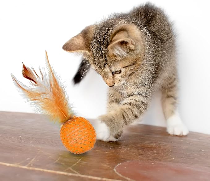 PET SHOW 10 Pack String Toys Cat Balls for Indoor Cats Kitten
