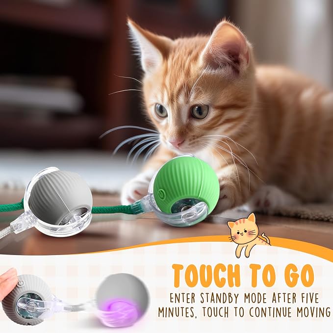 WinnerWhy 6 Pack Interactive Cat Ball Toy 360° Automatic New Interactive Rolling Ball Rechargeable Gifts for Cat Dog Lovers Indoor Exercise Electric Self Rolling Toy Large and Small Puppy Kitten Bulk
