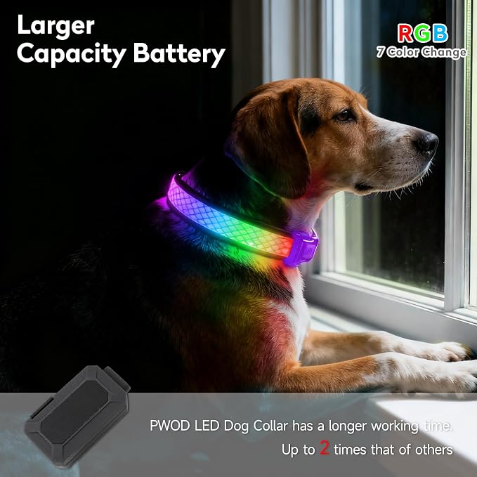 LED Dog Collar, Light Up Dog Collar,for Night Walking(Medium,Purple) | Adjustable,Bright RGB 7 Colors Light Glowing Collar,Waterproof,Nylon,Soft,For Medium and Large Dogs,USB C to Charge