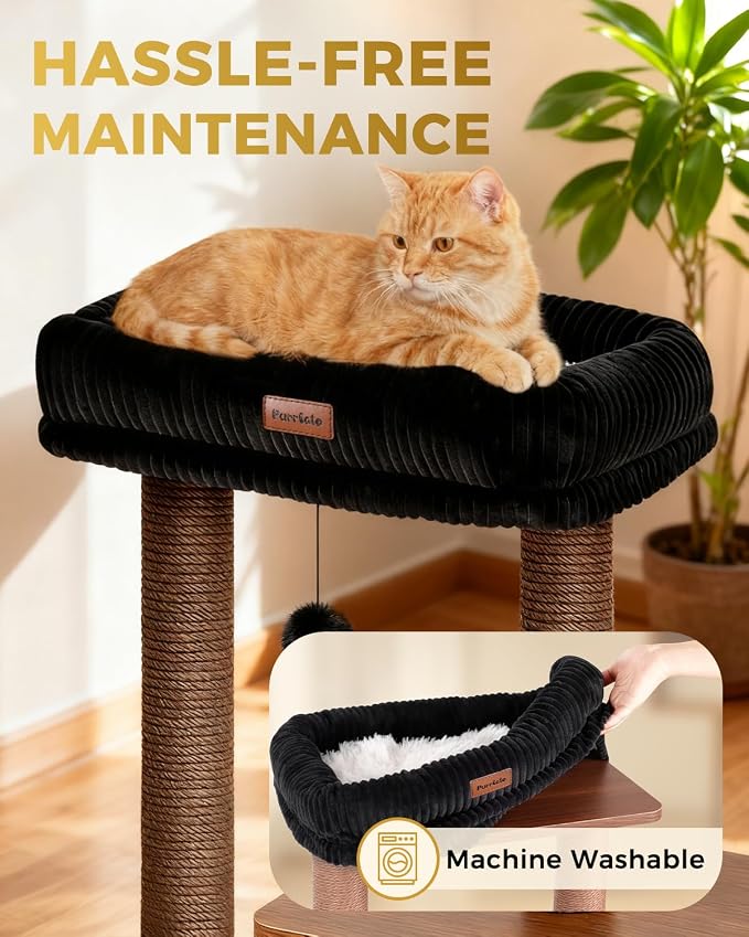 Small Cat Tree for Indoor Kittens, 30" Compact Modern Cat Tower | Natural Bamboo Cozy Condo, Soft Padded Perch, Sisal Scratching Post, Dangling Ball Toy, Stable Base, for Cats up to 15 lbs