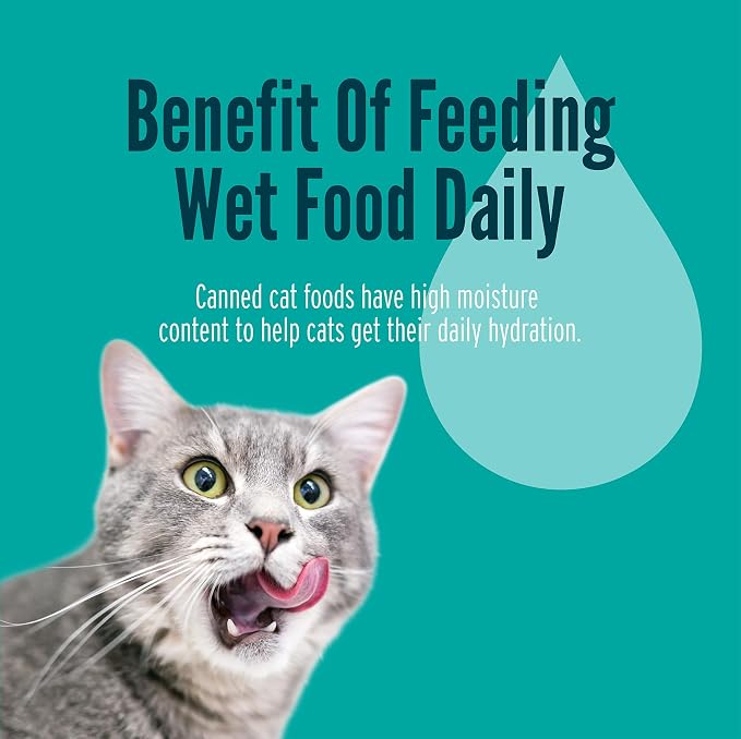 A Strong Heart Cat Food, Chicken & Salmon in Gravy, 5.5oz, 24pk | Real chicken & salmon, gravy texture, made in USA, all life stages