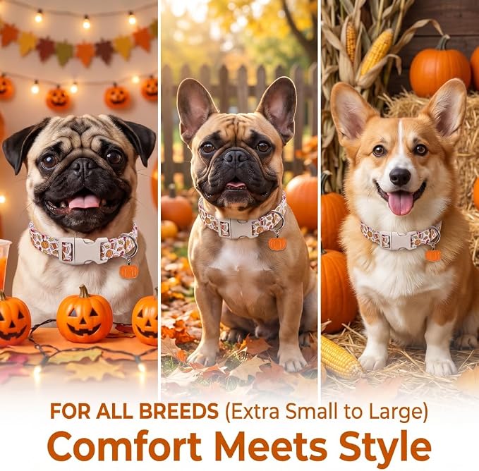 Fall Dog Collar, Large Collar for Large Girls Boys Dogs, L