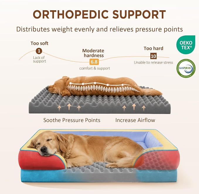Comfort Expression Orthopedic Dog Bed for Extra Large Dogs with Bolster | Waterproof Dog Couch Bed with Washable Cover & Non-Slip Bottom, Supportive Egg Crate Foam XL Pet Bed, 42x30 Inch