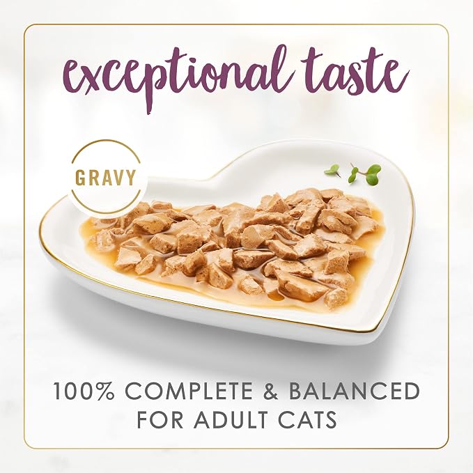 Fancy Feast Purina Gravy Lovers Chicken Feast in Grilled Gourmet Wet Cat Food – (Pack of 48) 3 oz. Cans