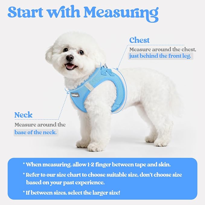 rabbitgoo Dog Harness Medium Sized and Leash Set, Step-in Puppy Pet Vest | Light, Soft, Breathable Air Mesh, Easy on and Remove with Hook & Loop, Secure Reflective for Walking, Blue XXL