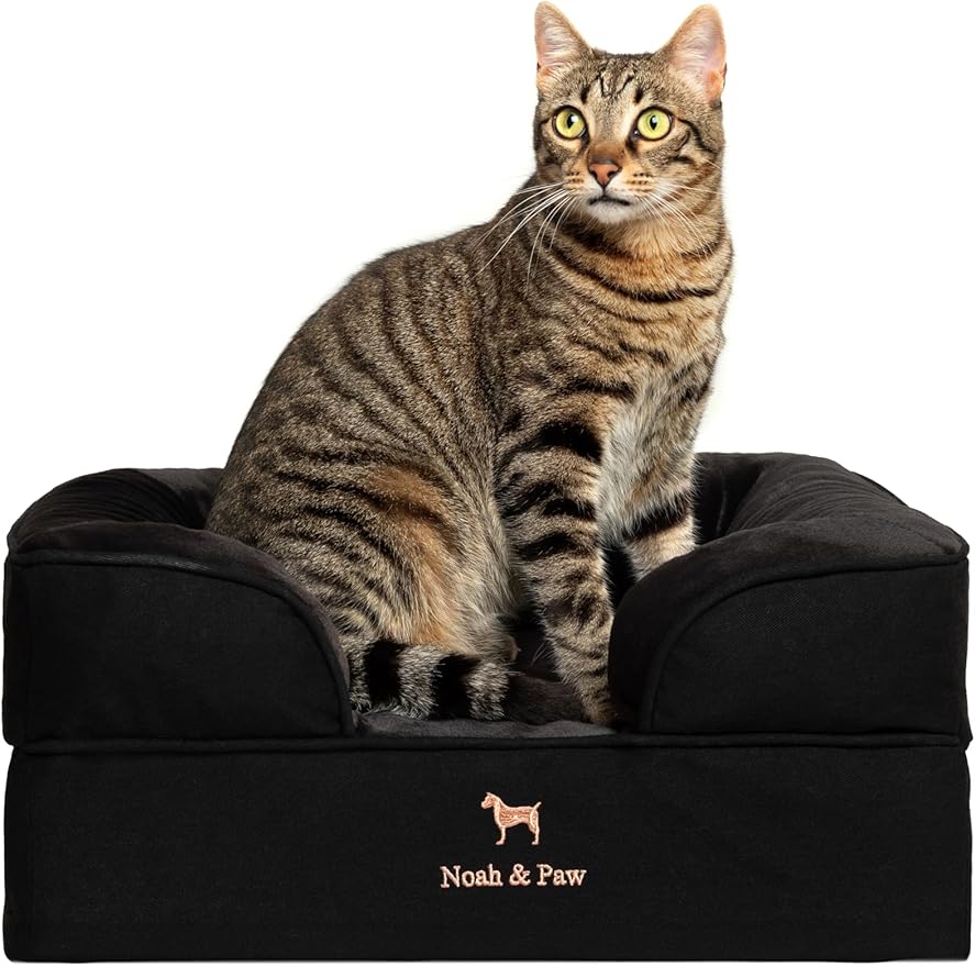 NOAH & PAW Small Dog Bed, 20x15x8 Inch, Cat Bed for Indoor Cats, Orthopedic Eggshell Memory Foam Infused with Cooling Gel, Water Resistant Inner Cover Machine Washable (Denim Collection)