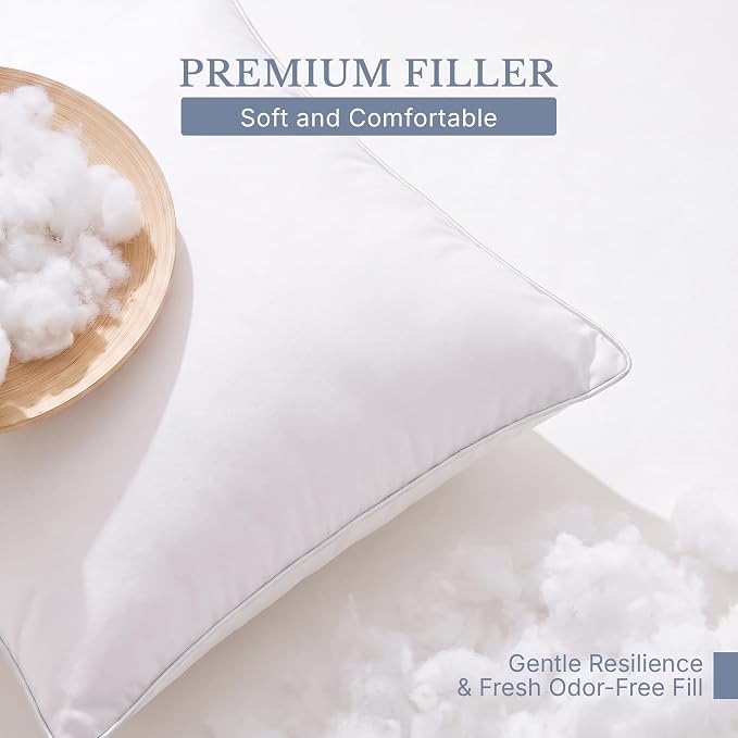 Leeden 22x22 Pillow Inserts Set of 4-22 Inch Decorative Cushion Insert, Soft Fluffy Throw Pillow Inserts for Living Room Couch, White 4 Pack Pillow Forms