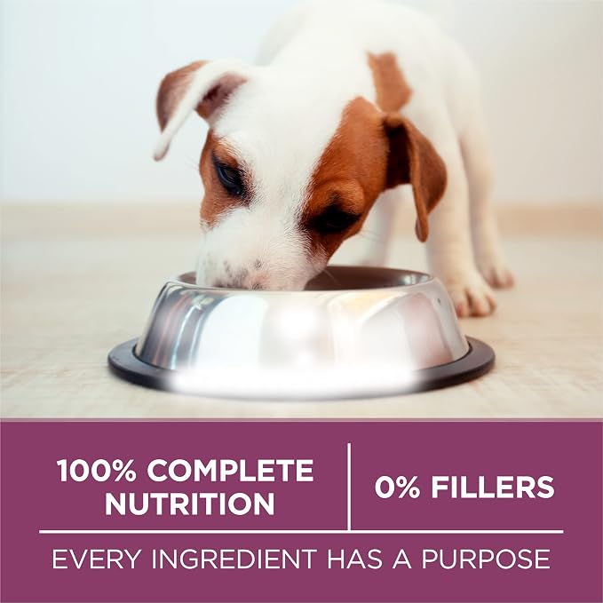 Purina ONE Plus Healthy Puppy Dry Food, Chicken, 8 lb Bag | High protein dog food for puppies, real chicken, DHA to support vision and brain development, antioxidants for immune support