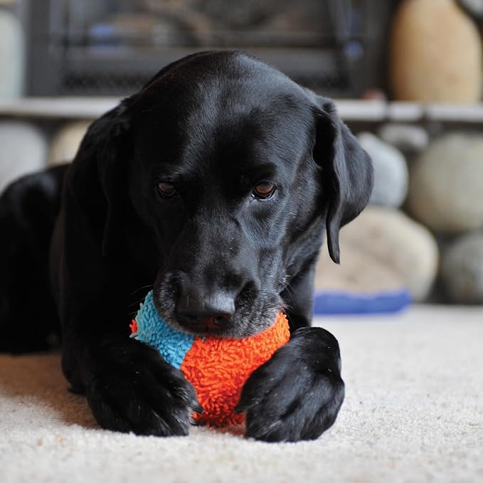 Chuckit! Indoor Fetch Shaker Dog Toy, 7.75in, Orange and Blue