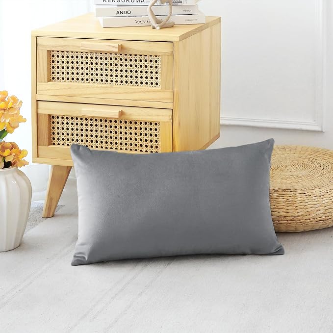 Artscope Luxury Velvet Pillow Covers Decorative Rectangle Pillowcases Soft Solid Cushion Cases for Couch Sofa Bedroom Car Decor 16x24 Inch Graphite Grey